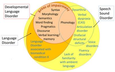 Developmental language disorders and special educational needs: consideration of inclusion in the Norwegian school context